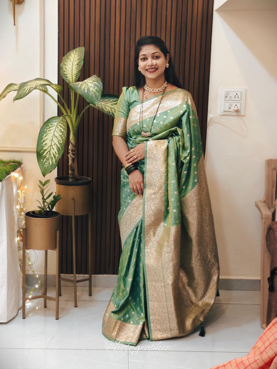 Saree Collection